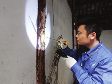 东莞防治白蚁中心提醒您新建房屋要留意白蚁蚁害