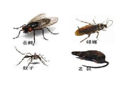 虎门四害消杀中心除四害有必要定期虫害防治吗？