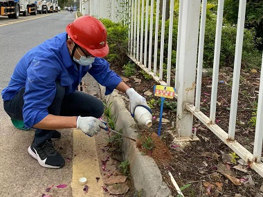 长安红火蚁预防公司工业园区发现红火蚁怎么办