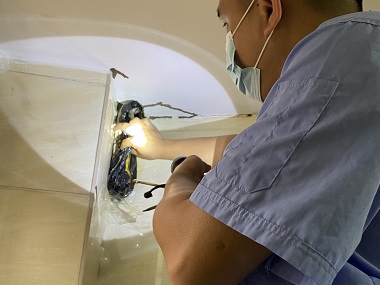 东莞白蚁预防公司住宅防白蚁，这几步千万不能少！