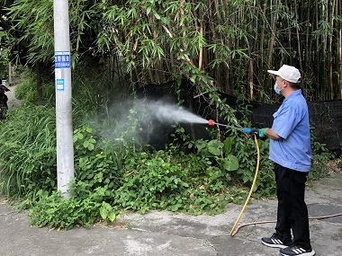 万江有害生物防控机构如何有效预防基孔肯雅热