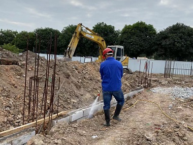 大朗白蚁备案中心建房地基怎样防白蚁